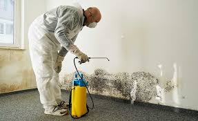 Best Commercial Mold Inspection  in Juno Beach, FL