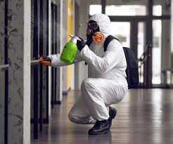 Reliable Juno Beach, FL Mold Prevention & Removal  Solutions